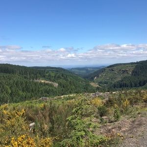 Meet your Posher, Michaela